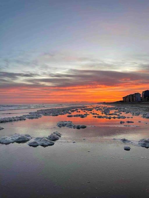 Face A La Mer, Appartement Rdc Bray Dunes Екстер'єр фото